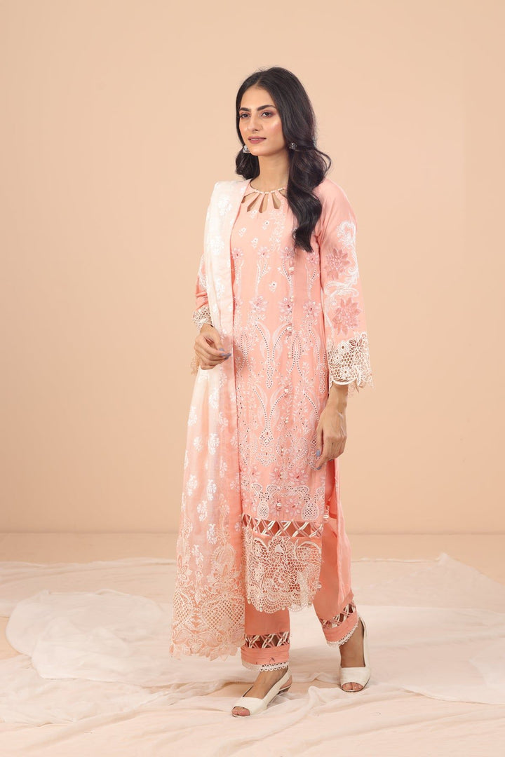 Cindrella 3 Piece Suit - Elaf Chikankari Collection
