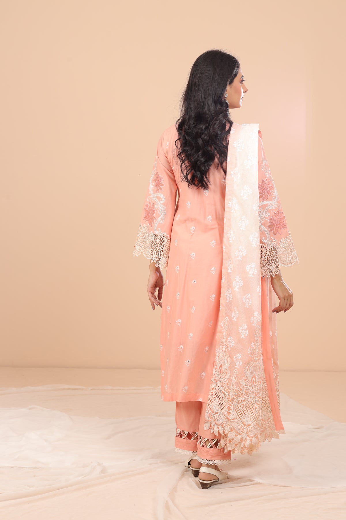 Cindrella 3 Piece Suit - Elaf Chikankari Collection