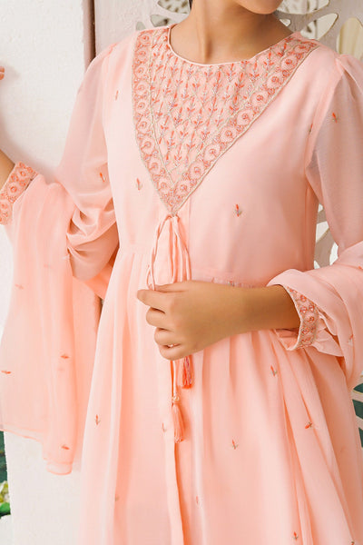 Chiffon Embroidered Peach Stitched Suit - Ochre