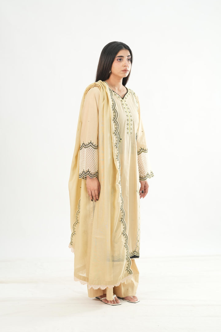 Design 4 - Mahnur Fiona Lawn Stitched