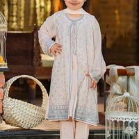 Chiffon Embroidered Peach Stitched Suit - Ochre