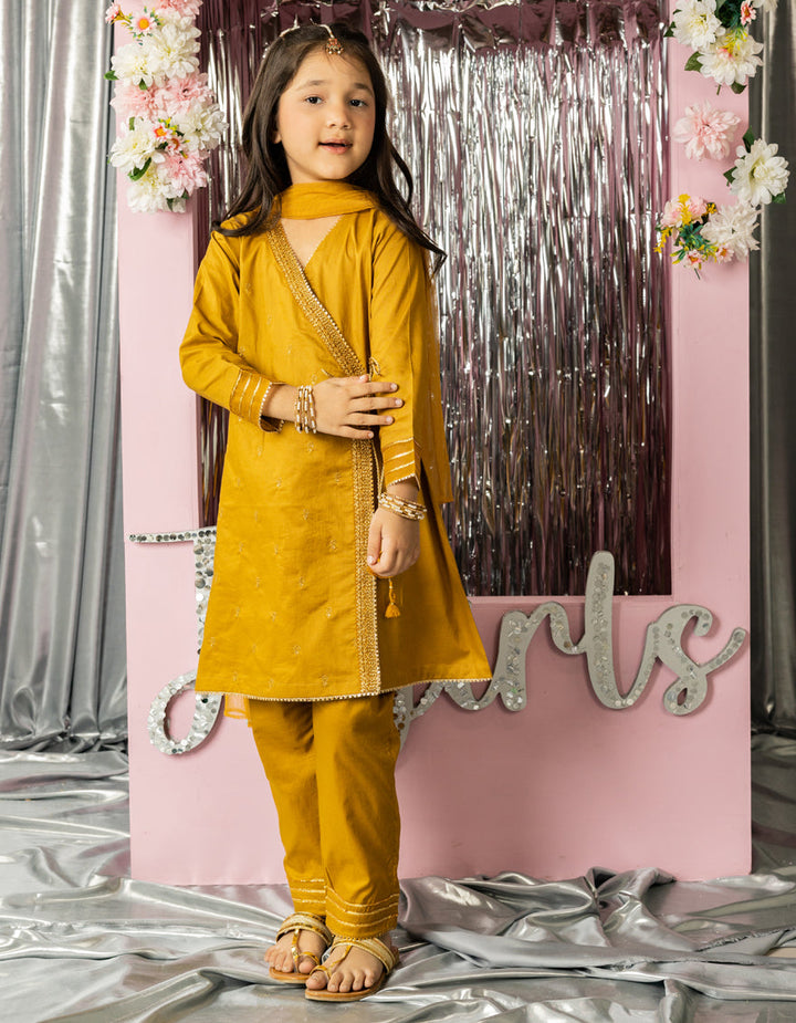 Lawn Brown Stitched Suit - J. Junaid Jamshed