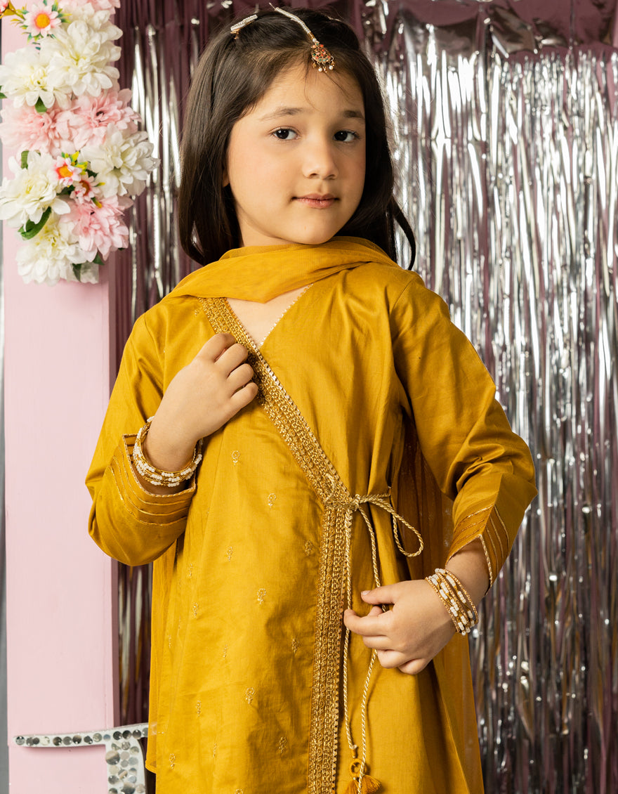 Lawn Brown Stitched Suit - J. Junaid Jamshed
