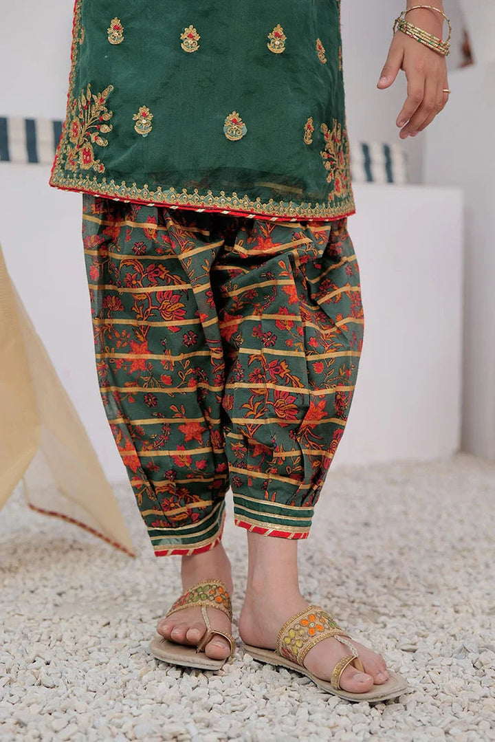 Cotton Digital Print By Organza Green Stitched Suit - Senorita