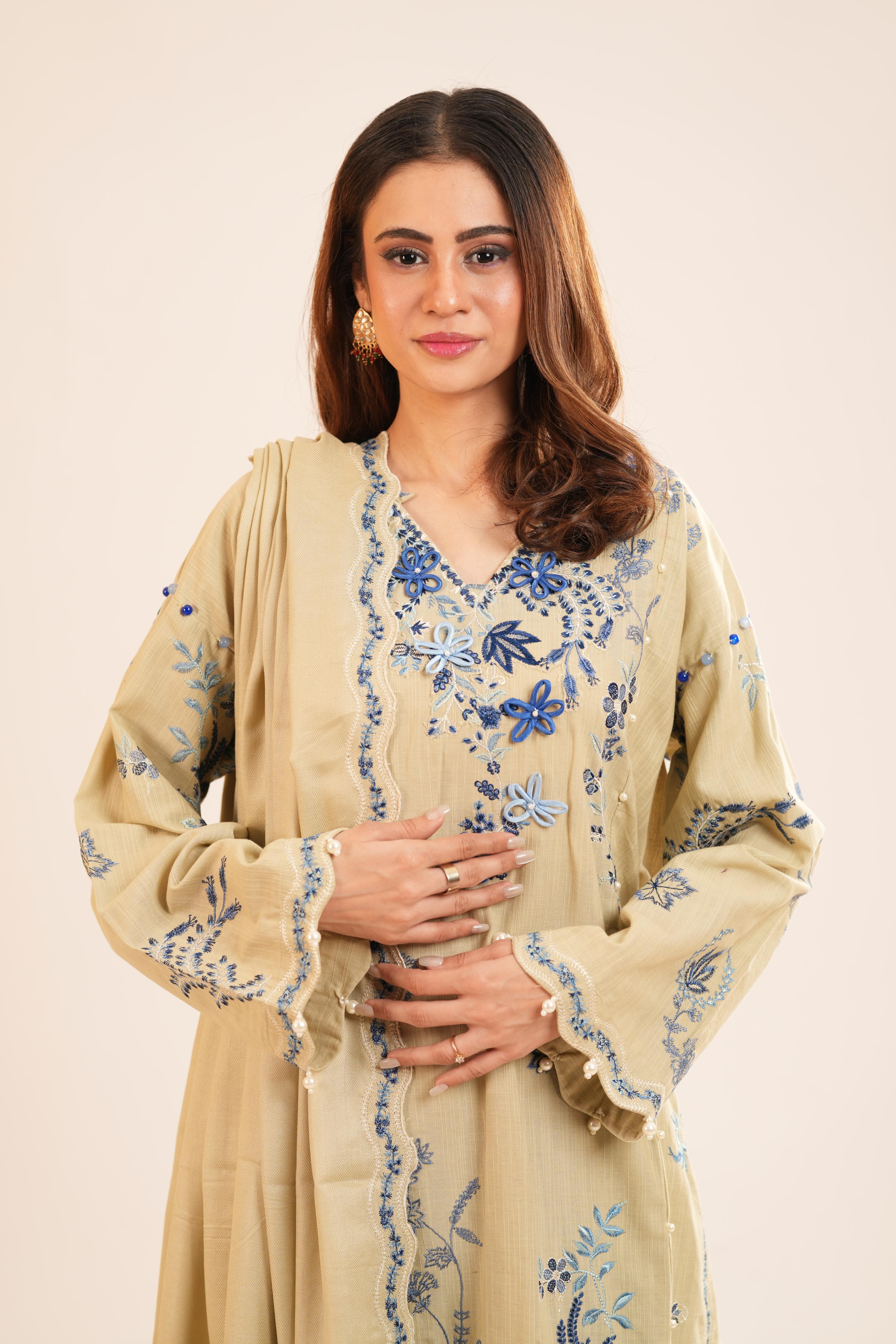 Design 11A - Sana Safinaz Muzlin Stitched – Janan