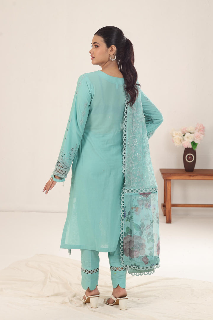 NDS-102 - Nureh Mela Festive Collection