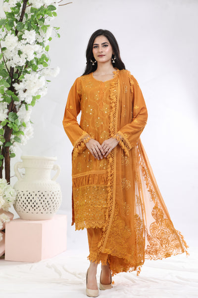 NDS-93 - Nureh Mehmaan Nawazi Collection