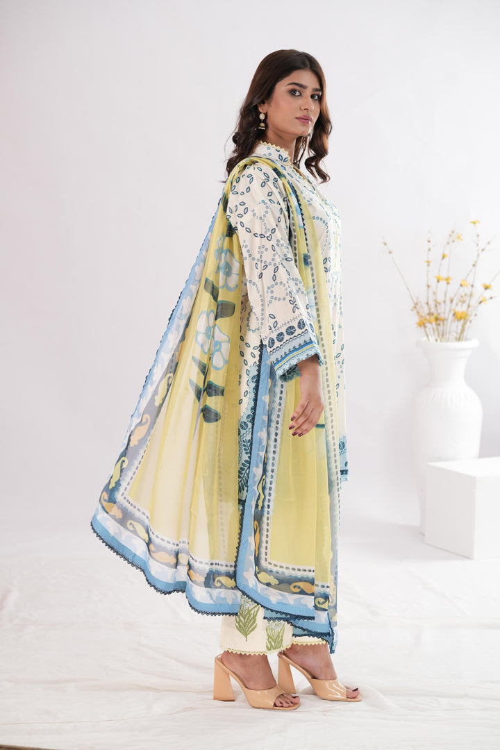Nelea-2A | Zara Shahjahan Stitched - Coco Prints Edit III