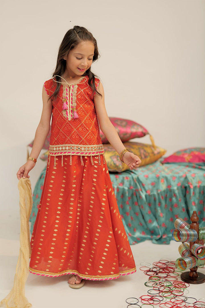 Banarsi Jacquard Rust Stitched Suit - Senorita