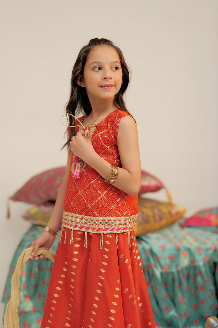 Banarsi Jacquard Rust Stitched Suit - Senorita
