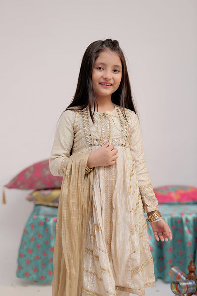 Banarsi Shimmer & Organza Tissue Fawn & Gold Stitched Suit - Senorita