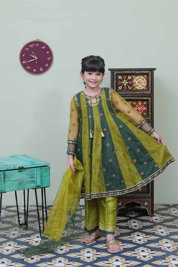 Banarsi Viscose Net Parrot green Stitched Suit - Ochre