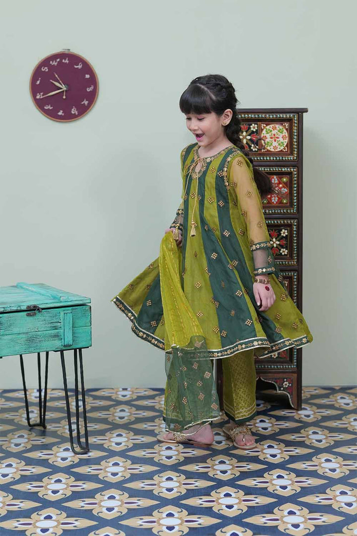 Banarsi Viscose Net Parrot green Stitched Suit - Ochre