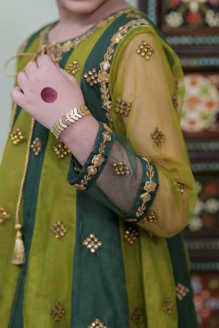 Banarsi Viscose Net Parrot green Stitched Suit - Ochre
