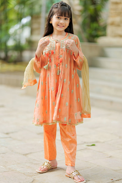 Banarsi Khaddi Net Peach 3 Piece Suit - Senorita