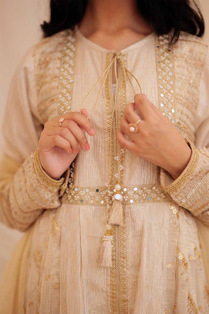 Fancy Fabric Crinkle Multic Zari Fawn Stitched Suit - Senorita