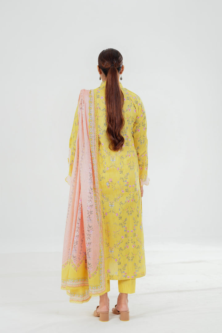 Areej - Qalamkar QPrint Drop III Stitched