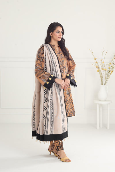 Roya-D6 - Zara Shahjahan Winter Stitched