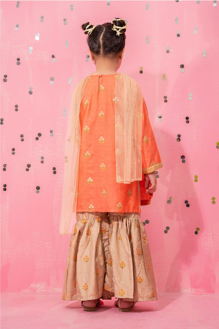 Cotton Silk Embellished Coral Stitched Suit - Ochre
