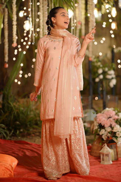 Viscose Jacquard Hand Adda Work Peach Stitched Suit - Ochre