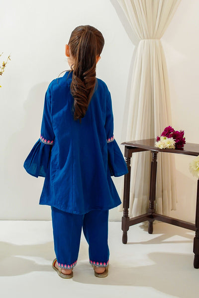 Cotton Embroidered Blue Stitched Suit - Ochre