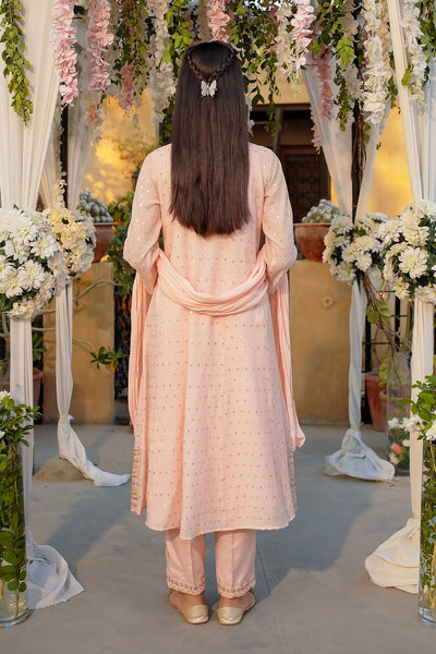 Slub Manar Embroidered Pink Stitched Suit - Ochre