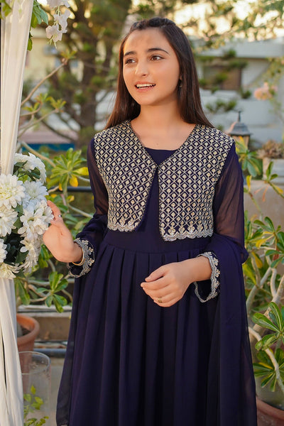 Chiffon Embroidered Navy Blue Stitched Suit - Ochre