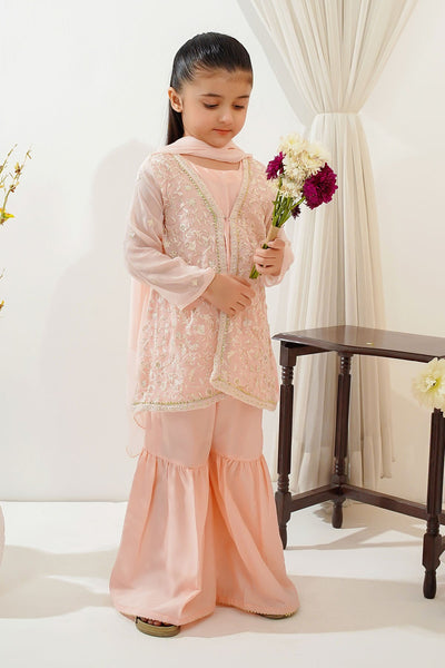 Chiffon Embroidered Peach Stitched Suit - Ochre