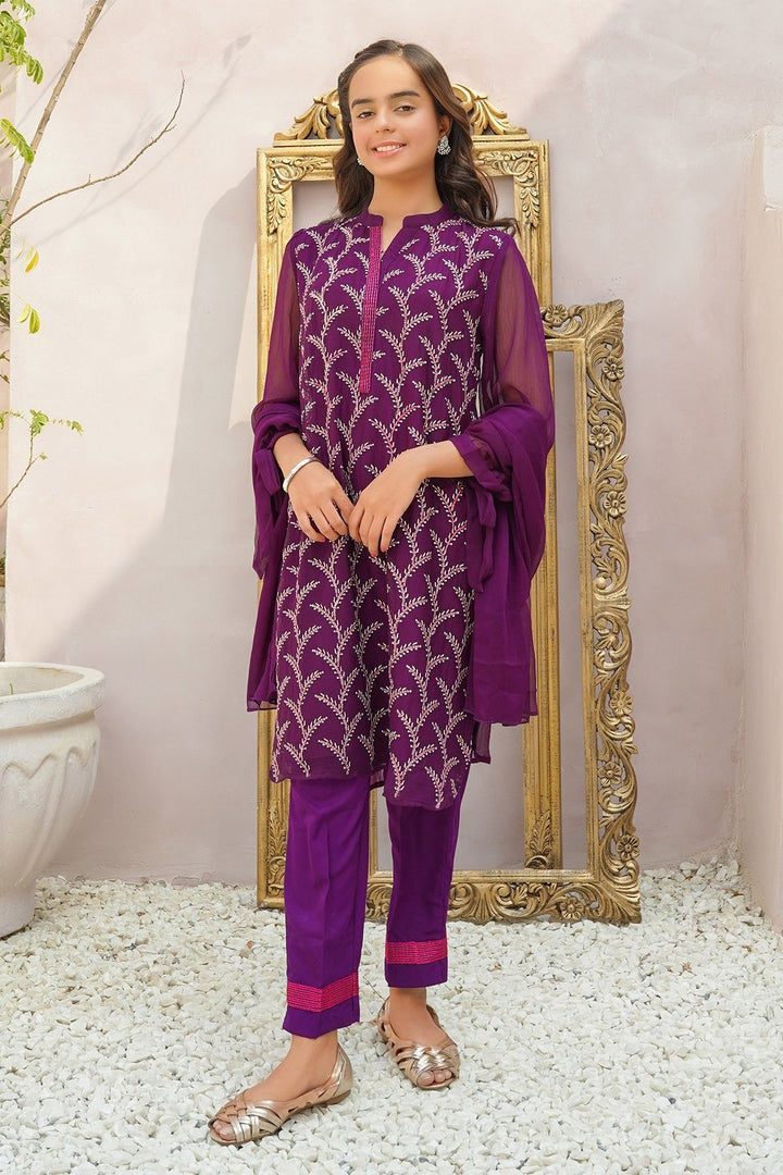 Chiffon Embroidered Purple 3 Piece Stitched Suit - Ochre