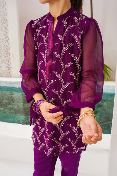 Chiffon Embroidered Purple 3 Piece Stitched Suit - Ochre