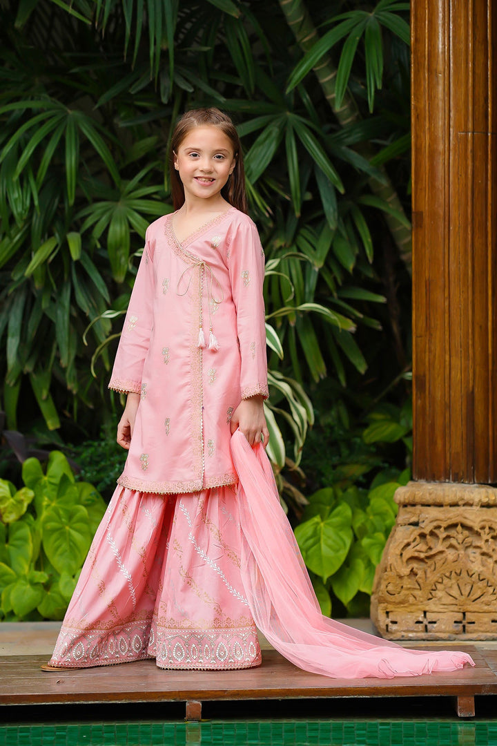 Cotton Printed Pink Stitched Suit - Ochre