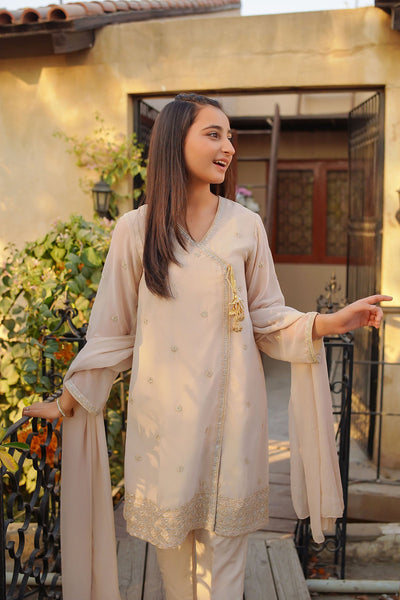 Chiffon Embroidered Beige Stitched Suit - Ochre