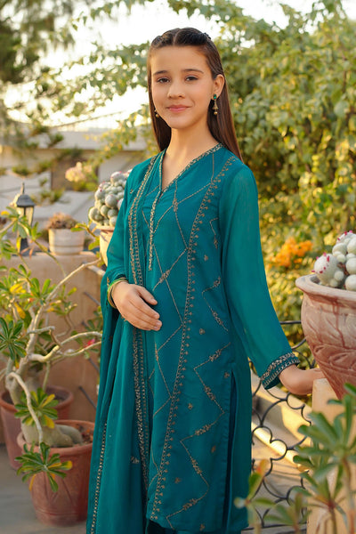 Chiffon Embroidered Green Stitched Suit - Ochre