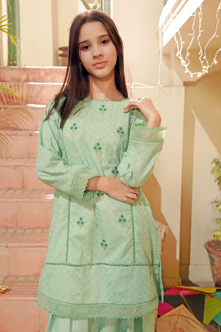 Chikankari Embroidered Mint Stitched Suit - Ochre