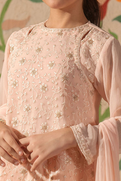 Chiffon Embroidered Peach Stitched Suit - Ochre