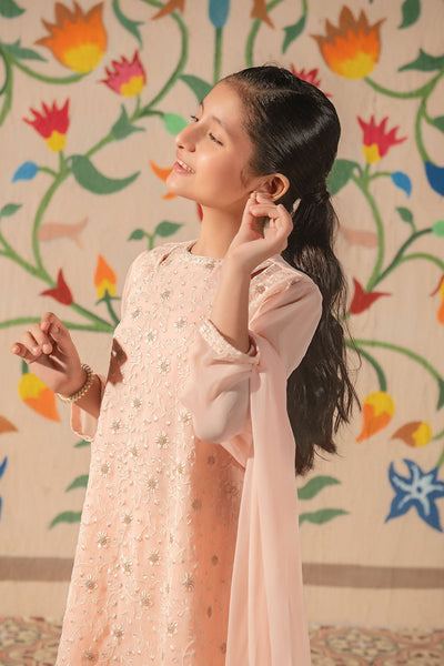 Chiffon Embroidered Peach Stitched Suit - Ochre