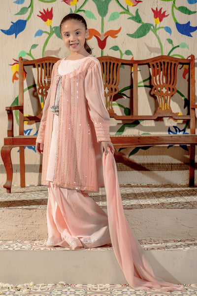 Chiffon Embroidered Dark Peach Stitched Suit - Ochre