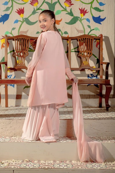 Chiffon Embroidered Dark Peach Stitched Suit - Ochre