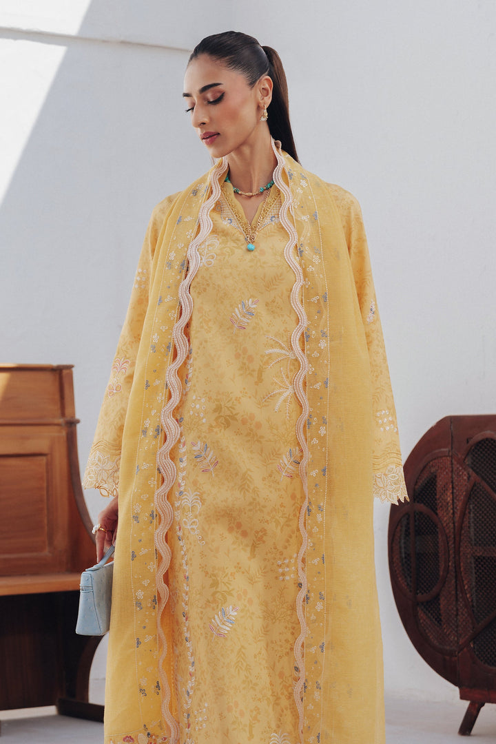 Clara - Qalamkar Basic Pret '26 Stitched