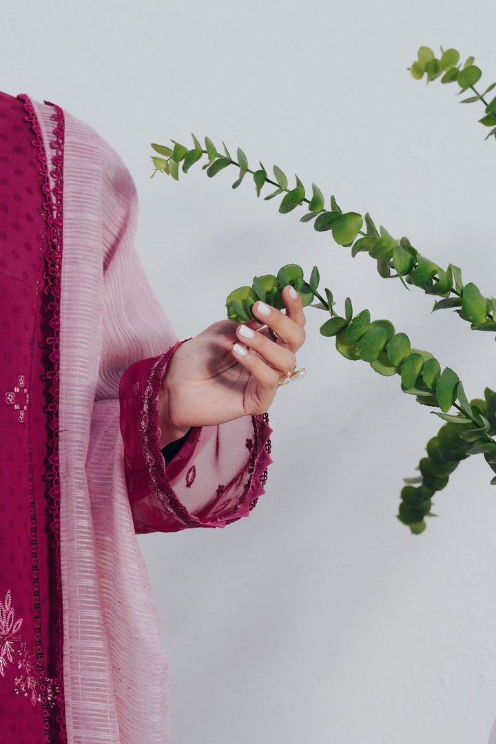 Livia - Qalamkar Basic Pret '26 Stitched