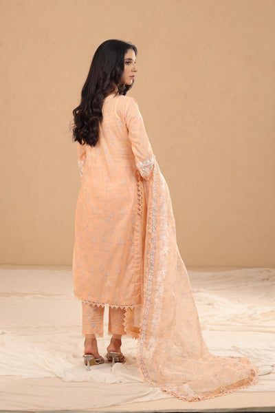 Design 1A - Sobia Nazir Vital Stitched