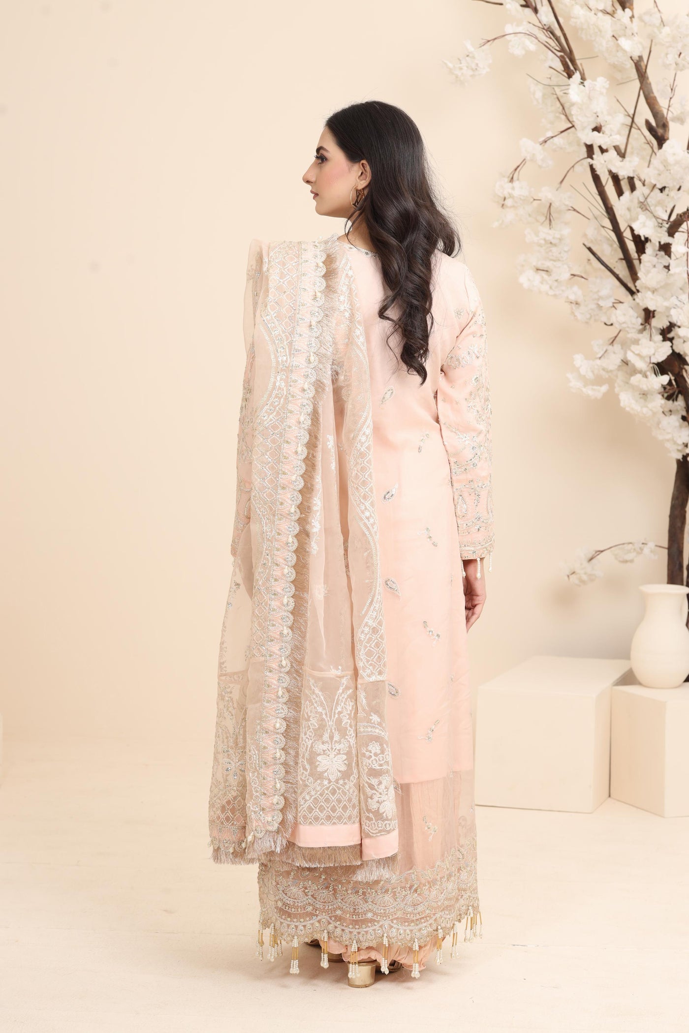 Shahnoor - Afrozeh Dastangoi Stitched Collection