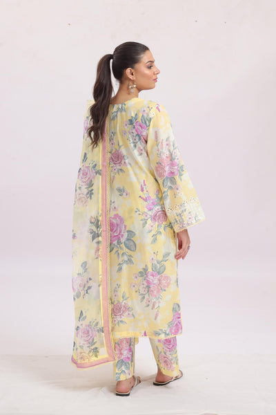 Skylar - Ayzel Printed Embroidered Stitched