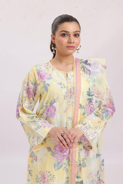 Skylar - Ayzel Printed Embroidered Stitched