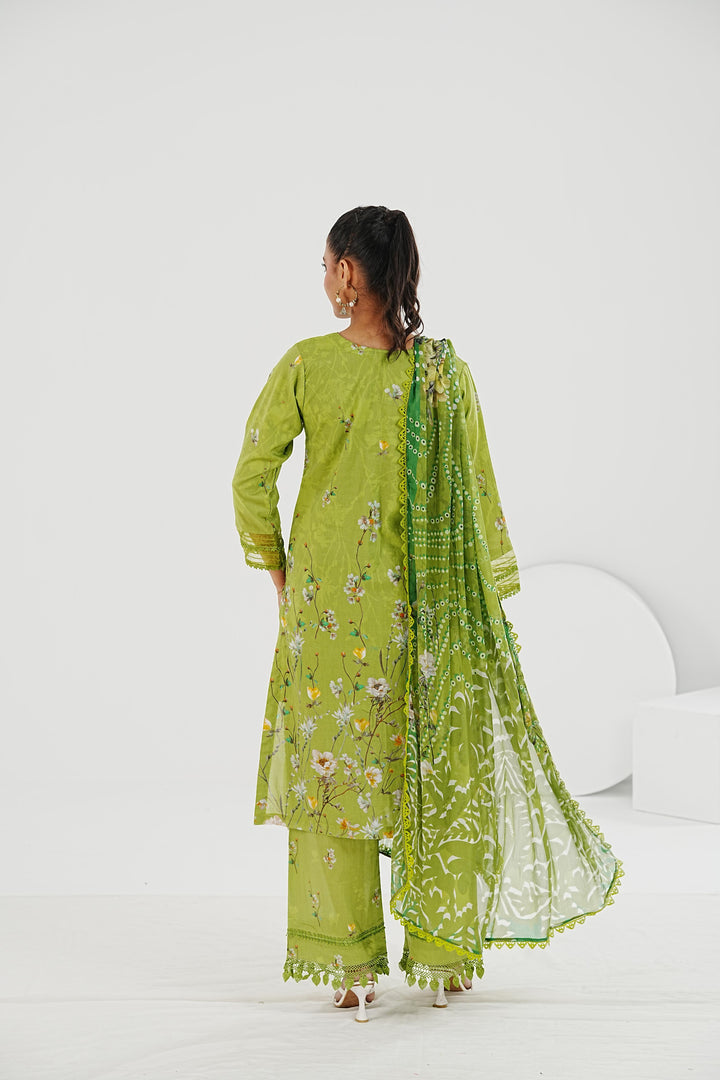 Design 3A - Sobia Nazir Basic Stitched