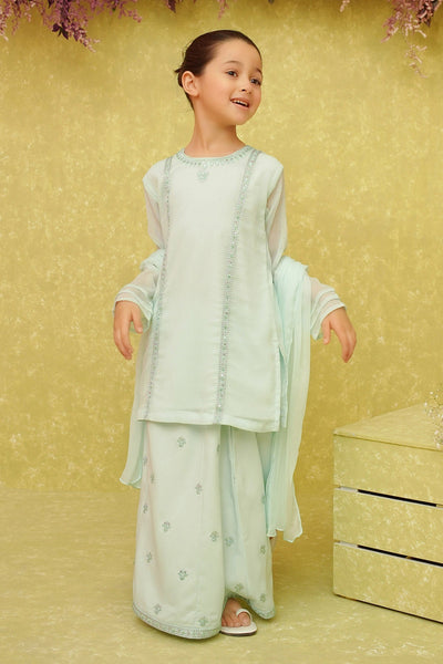 Chiffon Light Green 3 Piece Stitched Suit - Ochre