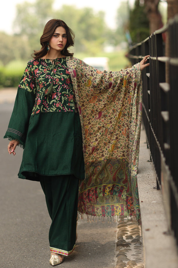 Embroidered Raw Silk Green Stitched Suit - Charizma