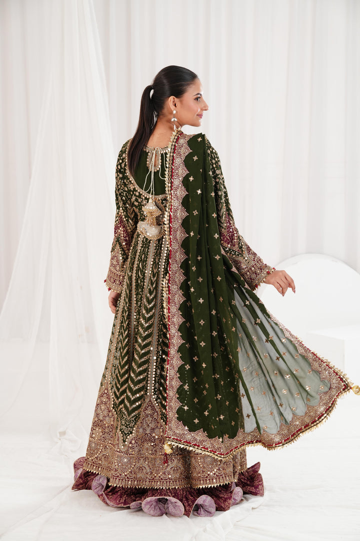Embroidered Chiffon Dark Green Suit - Jazmin Wedding Formals Stitched