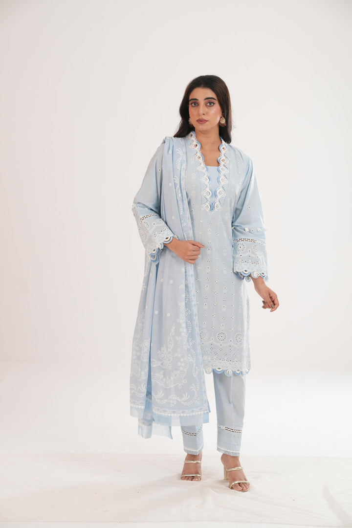 Embroidered Lawn Grey Stitched Suit - Zellbury
