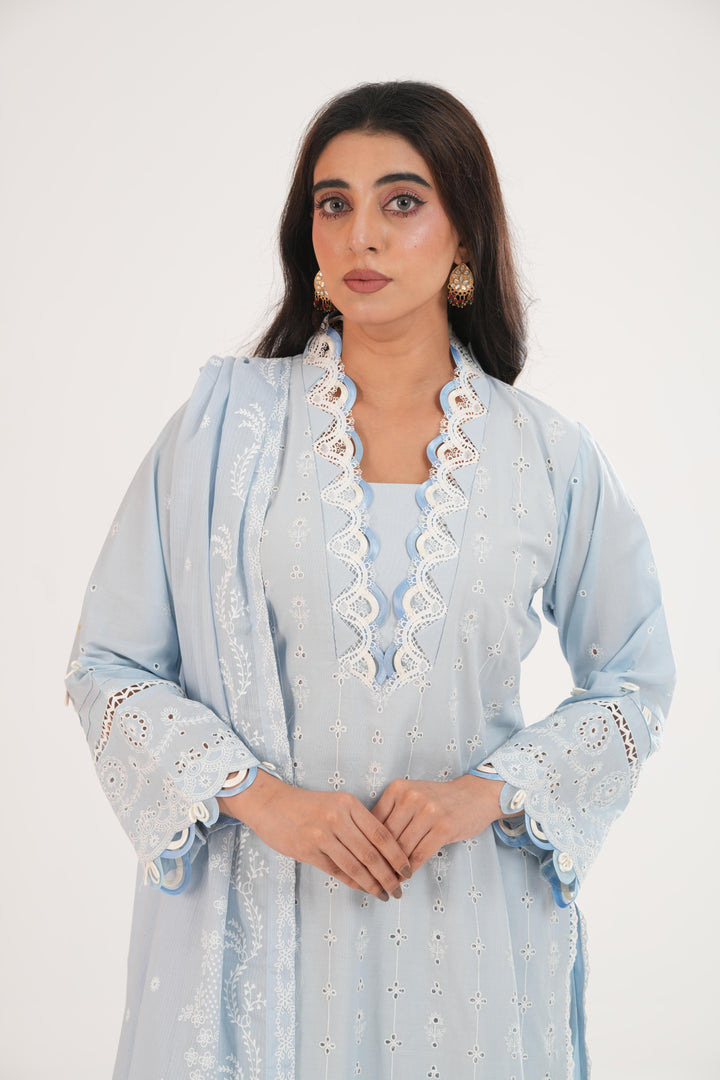 Embroidered Lawn Grey Stitched Suit - Zellbury